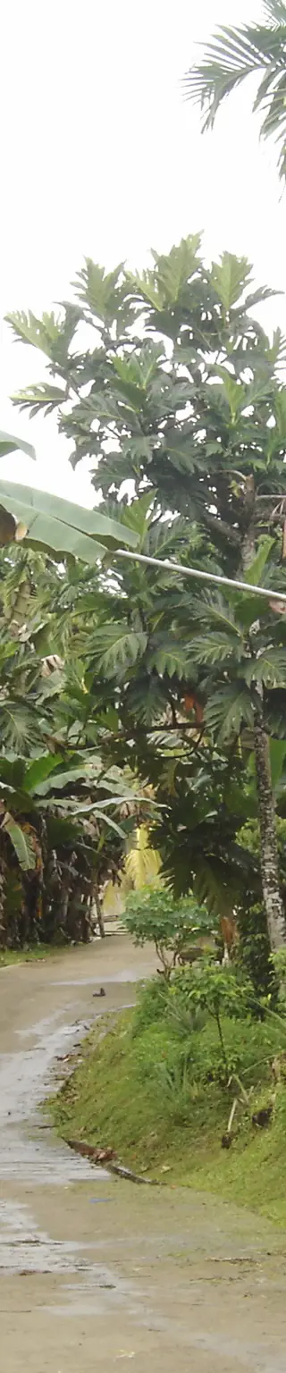 Auf dem Bikesattel durch Sabah auf Borneo